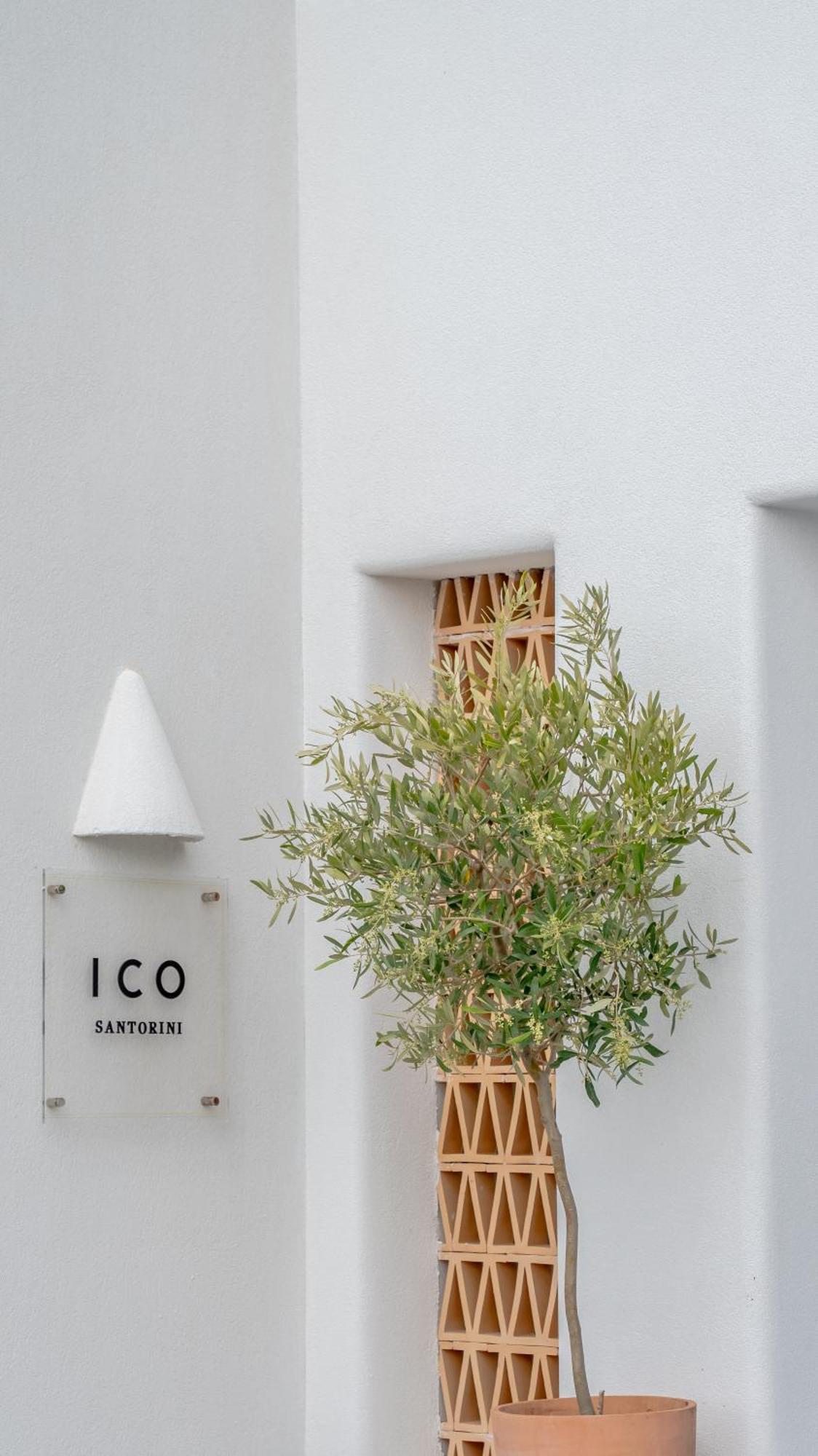 Ico Santorini Apartment Pýrgos